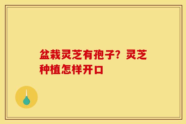 盆栽灵芝有孢子？灵芝种植怎样开口