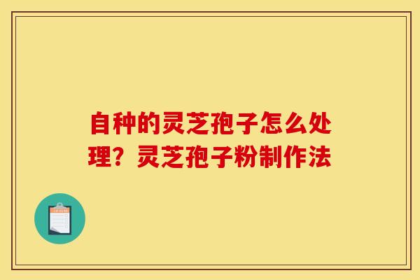 自种的灵芝孢子怎么处理?灵芝孢子粉制作法