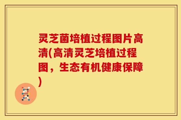 灵芝菌培植过程图片高清(高清灵芝培植过程图,生态有机健康保障)