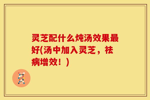 灵芝配什么炖汤效果最好(汤中加入灵芝,祛病增效!)