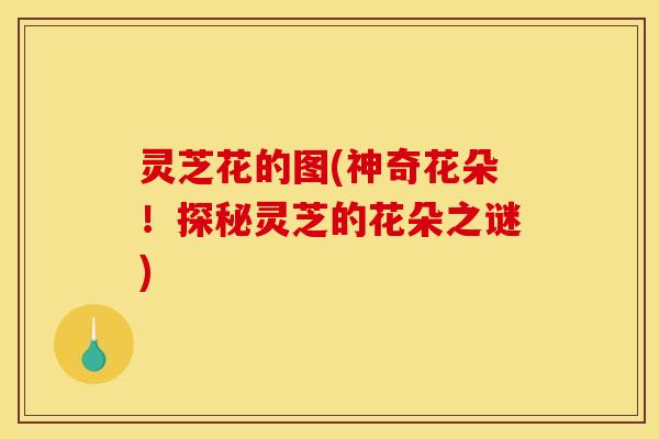 灵芝花的图(神奇花朵！探秘灵芝的花朵之谜)