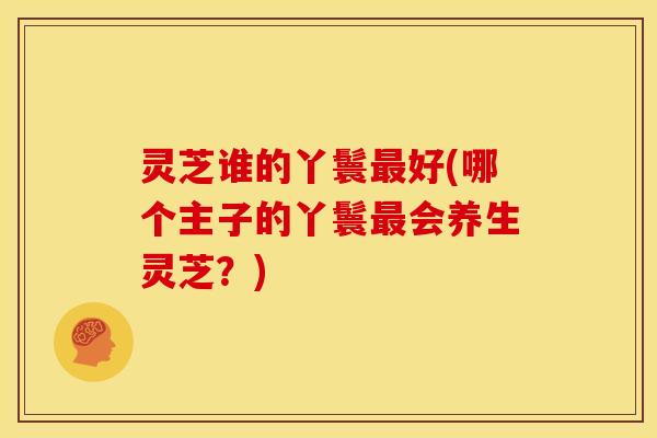 灵芝谁的丫鬟最好(哪个主子的丫鬟最会养生灵芝?)
