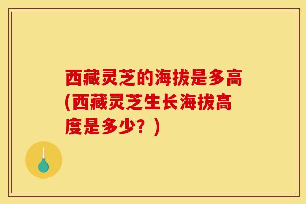 西藏灵芝的海拔是多高(西藏灵芝生长海拔高度是多少?)