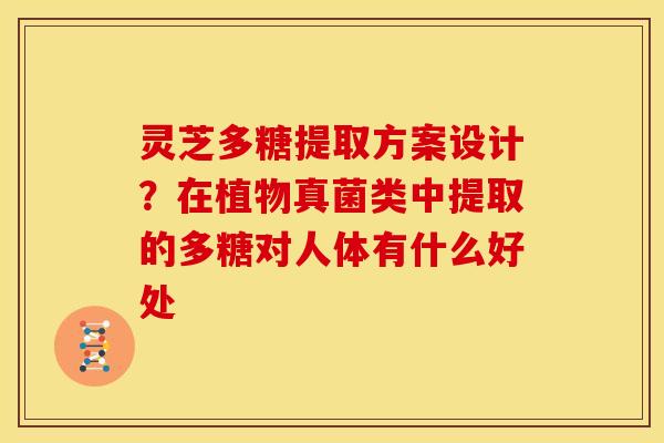 灵芝多糖提取方案设计?在植物真菌类中提取的多糖对人体有什么好处