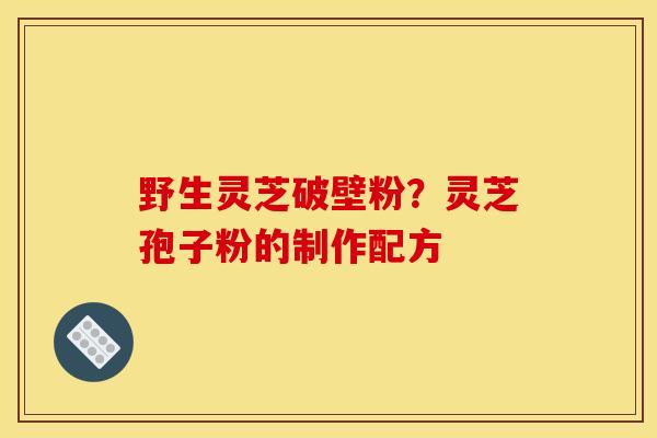 野生灵芝破壁粉?灵芝孢子粉的制作配方