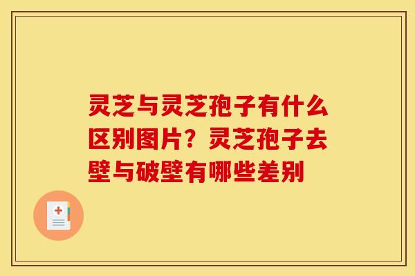 灵芝与灵芝孢子有什么区别图片?灵芝孢子去壁与破壁有哪些差别