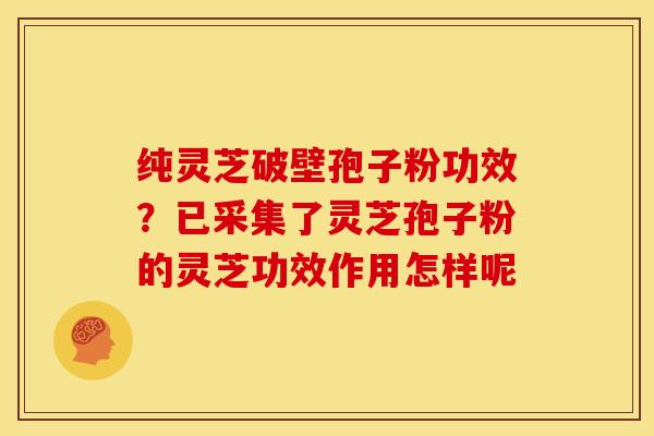 纯灵芝破壁孢子粉功效？已采集了灵芝孢子粉的灵芝功效作用怎样呢