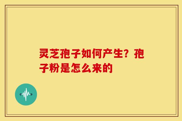 灵芝孢子如何产生？孢子粉是怎么来的