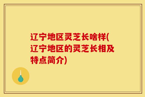 辽宁地区灵芝长啥样(辽宁地区的灵芝长相及特点简介)