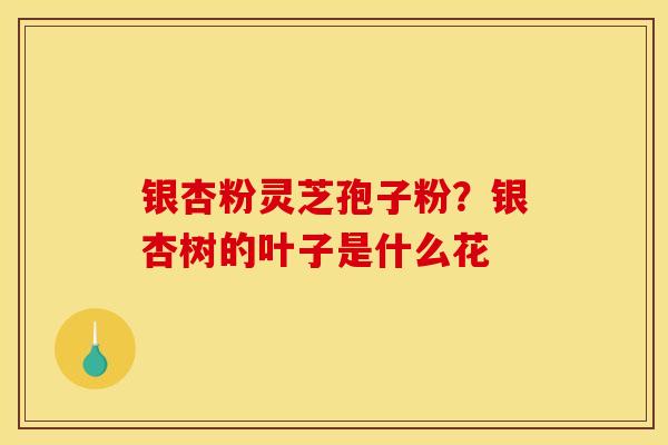 银杏粉灵芝孢子粉?银杏树的叶子是什么花