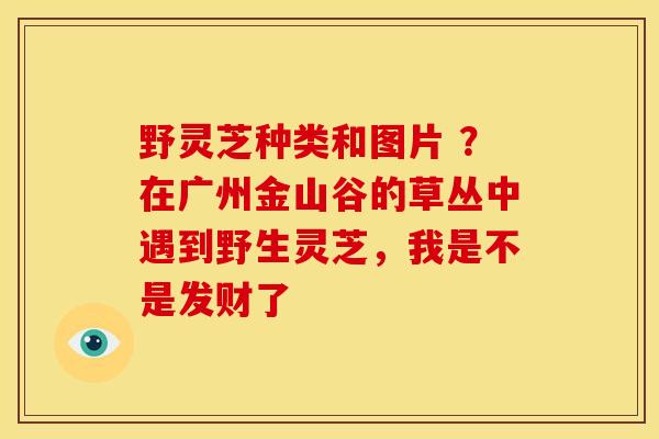 野灵芝种类和图片 ？在广州金山谷的草丛中遇到野生灵芝，我是不是发财了