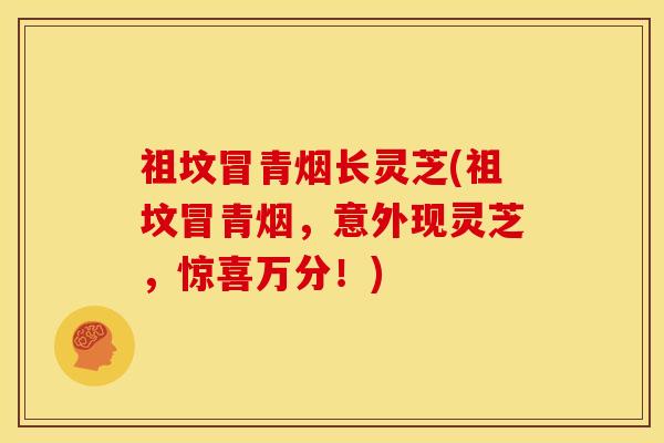 祖坟冒青烟长灵芝(祖坟冒青烟，意外现灵芝，惊喜万分！)