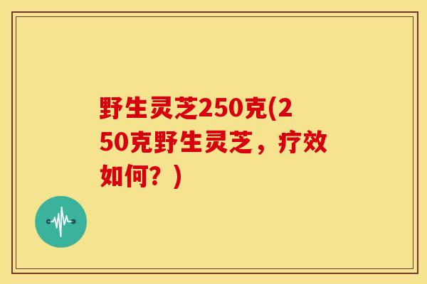 野生灵芝250克(250克野生灵芝,疗效如何?)