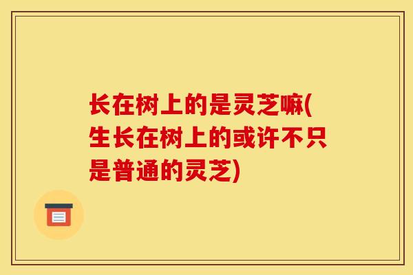 长在树上的是灵芝嘛(生长在树上的或许不只是普通的灵芝)
