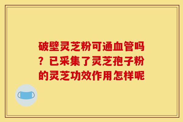 破壁灵芝粉可通血管吗？已采集了灵芝孢子粉的灵芝功效作用怎样呢