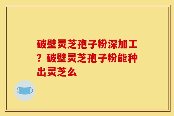 破壁灵芝孢子粉深加工？破壁灵芝孢子粉能种出灵芝么