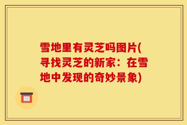 雪地里有灵芝吗图片(寻找灵芝的新家:在雪地中发现的奇妙景象)