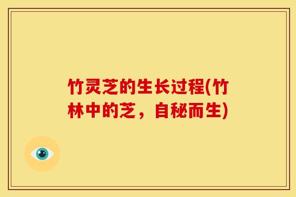 竹灵芝的生长过程(竹林中的芝，自秘而生)