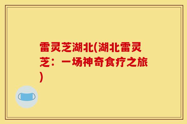 雷灵芝湖北(湖北雷灵芝：一场神奇食疗之旅)