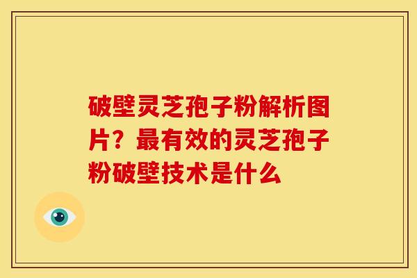 破壁灵芝孢子粉解析图片?最有效的灵芝孢子粉破壁技术是什么