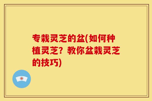 专栽灵芝的盆(如何种植灵芝？教你盆栽灵芝的技巧)