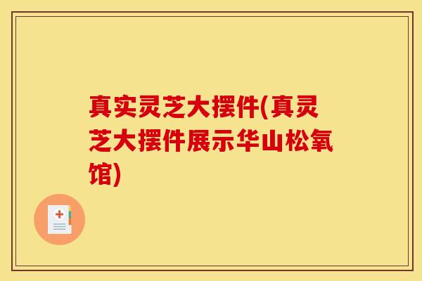 真实灵芝大摆件(真灵芝大摆件展示华山松氧馆)