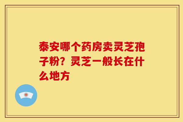 泰安哪个药房卖灵芝孢子粉?灵芝一般长在什么地方