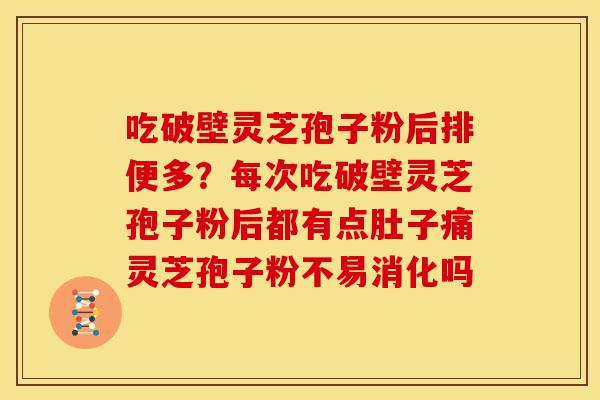 吃破壁灵芝孢子粉后排便多?每次吃破壁灵芝孢子粉后都有点肚子痛灵芝孢子粉不易消化吗