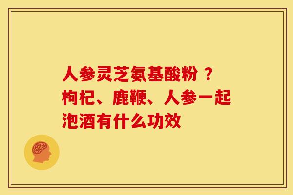 人参灵芝氨基酸粉 ?枸杞、鹿鞭、人参一起泡酒有什么功效