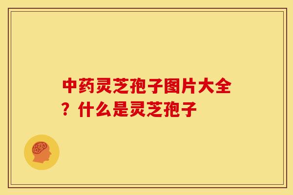 中药灵芝孢子图片大全？什么是灵芝孢子
