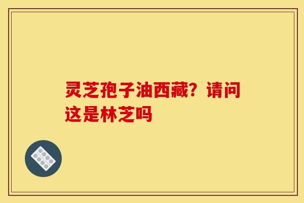 灵芝孢子油西藏?请问这是林芝吗