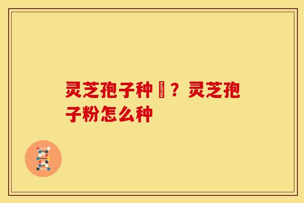 灵芝孢子种稙?灵芝孢子粉怎么种