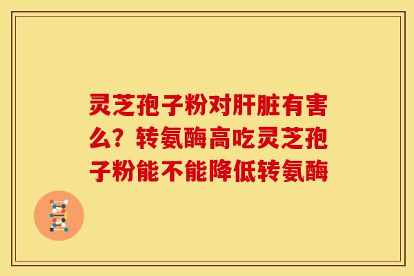 灵芝孢子粉对肝脏有害么?转氨酶高吃灵芝孢子粉能不能降低转氨酶
