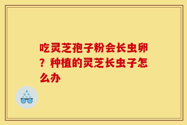吃灵芝孢子粉会长虫卵？种植的灵芝长虫子怎么办