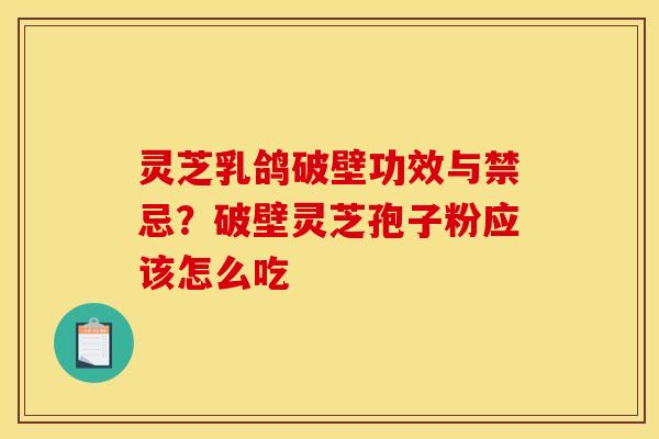 灵芝乳鸽破壁功效与禁忌?破壁灵芝孢子粉应该怎么吃