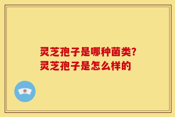 灵芝孢子是哪种菌类？灵芝孢子是怎么样的