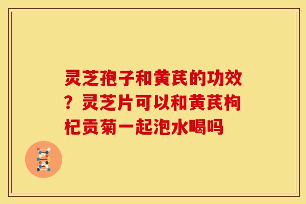 灵芝孢子和黄芪的功效？灵芝片可以和黄芪枸杞贡菊一起泡水喝吗