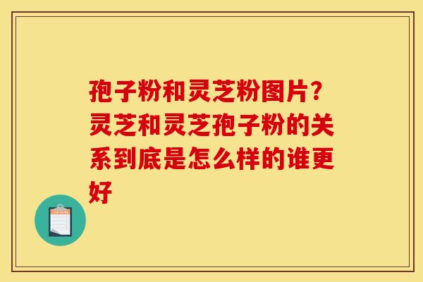 孢子粉和灵芝粉图片?灵芝和灵芝孢子粉的关系到底是怎么样的谁更好