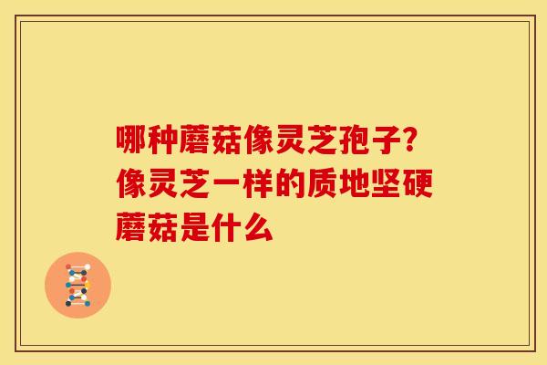 哪种蘑菇像灵芝孢子?像灵芝一样的质地坚硬蘑菇是什么