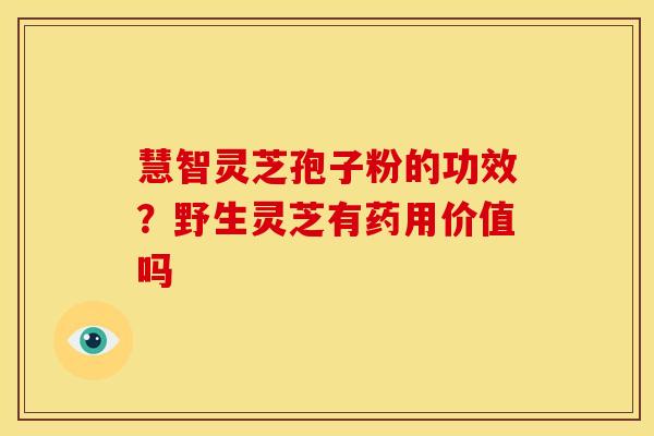 慧智灵芝孢子粉的功效?野生灵芝有药用价值吗