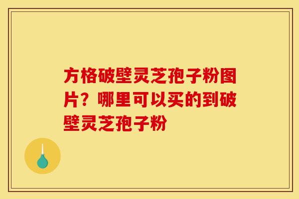 方格破壁灵芝孢子粉图片？哪里可以买的到破壁灵芝孢子粉