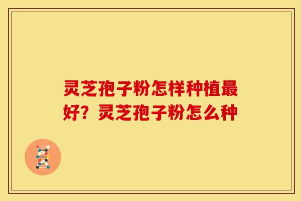 灵芝孢子粉怎样种植最好?灵芝孢子粉怎么种