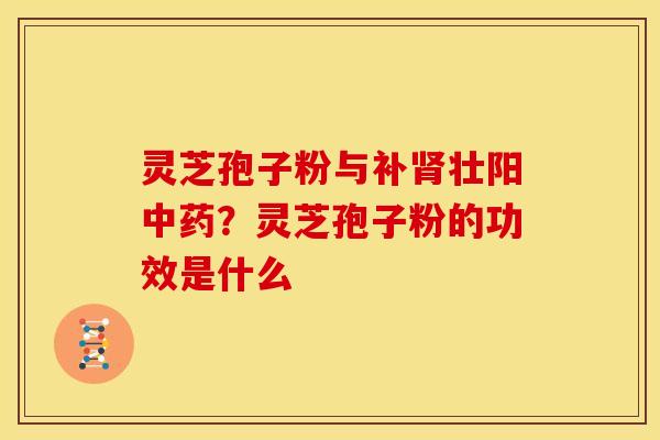 灵芝孢子粉与补肾壮阳中药?灵芝孢子粉的功效是什么