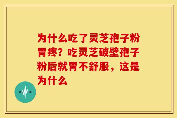 为什么吃了灵芝孢子粉胃疼？吃灵芝破壁孢子粉后就胃不舒服，这是为什么