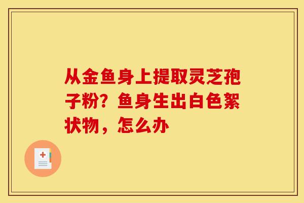 从金鱼身上提取灵芝孢子粉？鱼身生出白色絮状物，怎么办