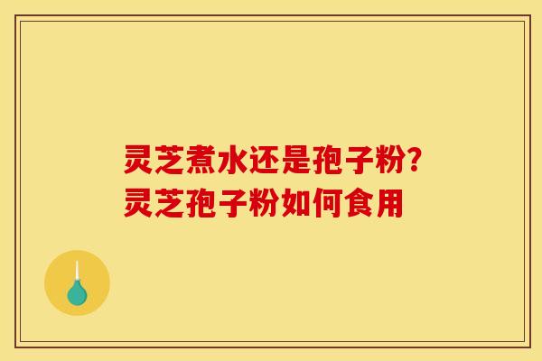 灵芝煮水还是孢子粉?灵芝孢子粉如何食用