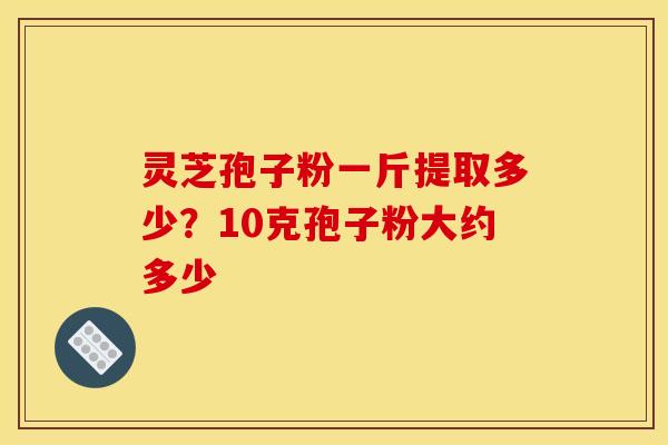 灵芝孢子粉一斤提取多少?10克孢子粉大约多少