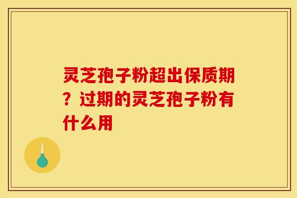 灵芝孢子粉超出保质期？过期的灵芝孢子粉有什么用