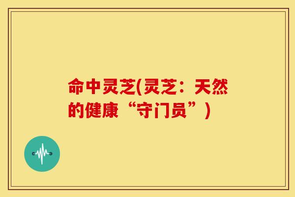命中灵芝(灵芝：天然的健康“守门员”)