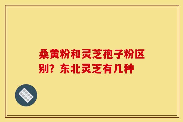 桑黄粉和灵芝孢子粉区别?东北灵芝有几种